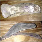 shoe insert.webp