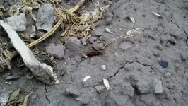 2012-07-26_12-35-28_968 (1280x722).webp