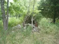 005.webp
