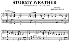 stormy.webp