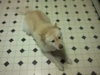 Sasha 3.webp Sasha 3.webp
