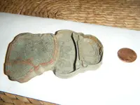 DSCF0497.webp