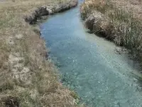 DSCN4523.webp