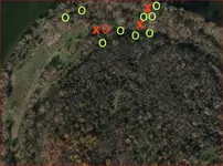 Springs2-Saltman241.webp
