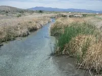 DSCN4526.webp