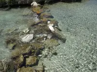 DSCN4528.webp