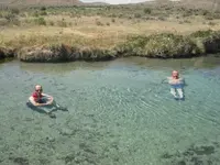 DSCN4537.webp