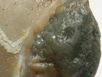 Agate-CaronBubblesCrop-07-15-2012-IMG_0761SSS.webp