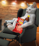 image001.gif