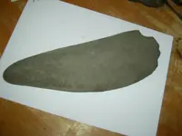 SA400016.webp SA400016.webp