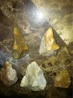 image-3759757710.webp