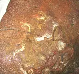 Grand Marais 7-17-2012 056.webp