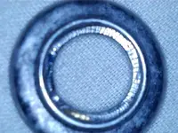 12061221561633307859.webp