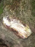 image-862491646.webp