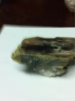 image-1314640049.webp