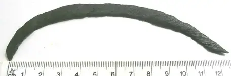 DR1-Bronze-curve1.webp