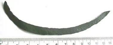 DR1-Bronze-curve2.webp
