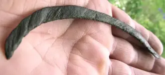 DR1-Bronze-curve4.webp