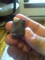 pure silver 1.webp