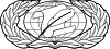 100px-United_States_Air_Force_Information_Management_Badge_svg.webp