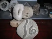 rocks.webp