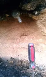 Blueing bottle dig.webp