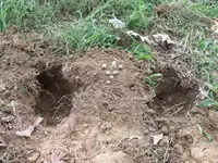 1228122012_0715(035).webp