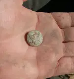eagle in hand.webp