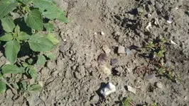 2012-08-06_11-25-01_968 (1280x722).webp