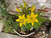 DSCF0631.webp