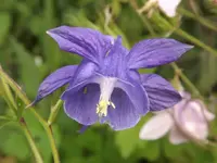 DSCF0762.webp
