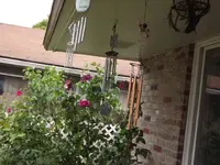 DSCF0712.webp