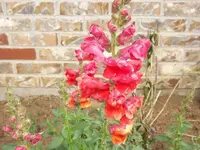 DSCF0687.webp