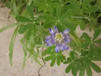 DSCF0663.webp