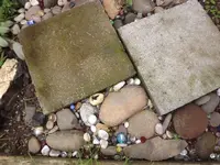 DSCF0661.webp