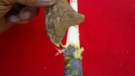 2012-08-06_20-18-26_599 (1280x722).webp