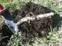 HUBLEY DUG.webp
