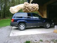 got butter.webp