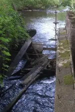 old Mill.webp