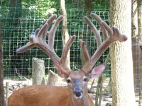 100_0675.webp