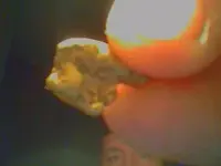 Snapshot_20120305.webp