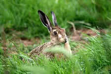 20120703_66.webp