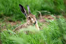 20120703_68.webp