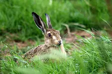 20120703_71.webp