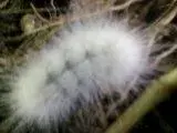 0709121133.webp