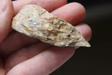 Owl point angle1.webp