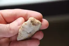 Owl point angle2.webp