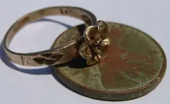 Ring 2.webp