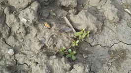 2012-07-26_18-47-59_643 (1280x722).webp