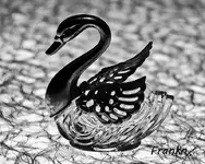 swan  700.webp